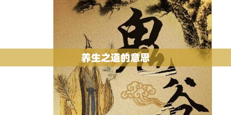 养生之道的意思