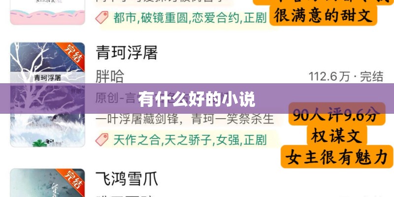 有什么好的小说