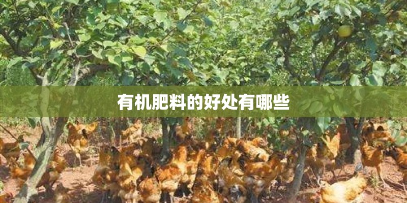 有机肥料的好处有哪些