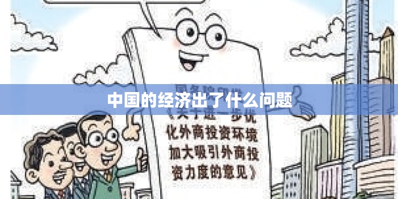 中国的经济出了什么问题