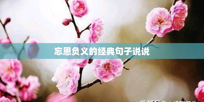 忘恩负义的经典句子说说
