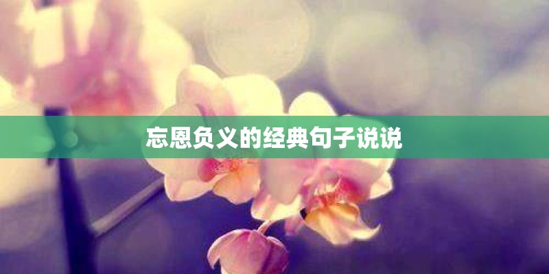 忘恩负义的经典句子说说