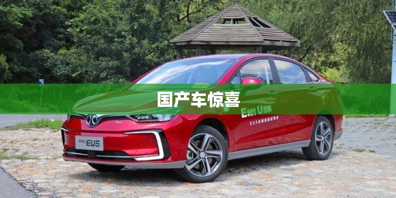 国产车惊喜