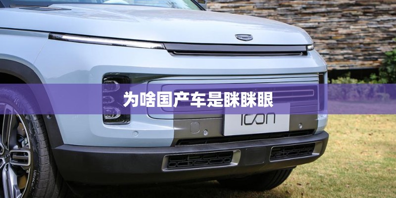 为啥国产车是眯眯眼