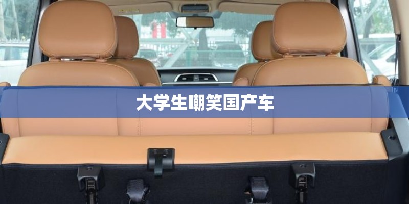 大学生嘲笑国产车