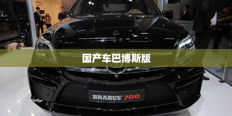 国产车巴博斯版