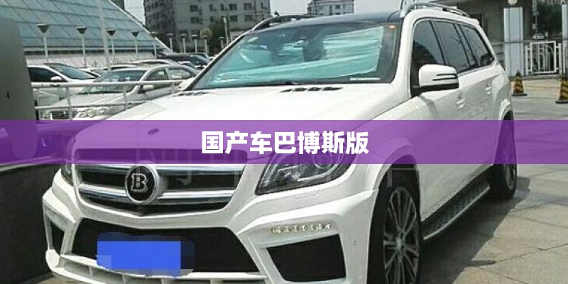 国产车巴博斯版