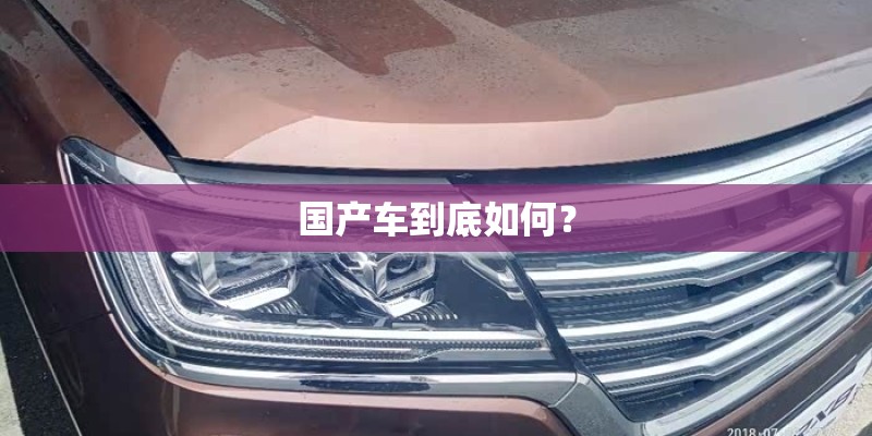 国产车到底如何？