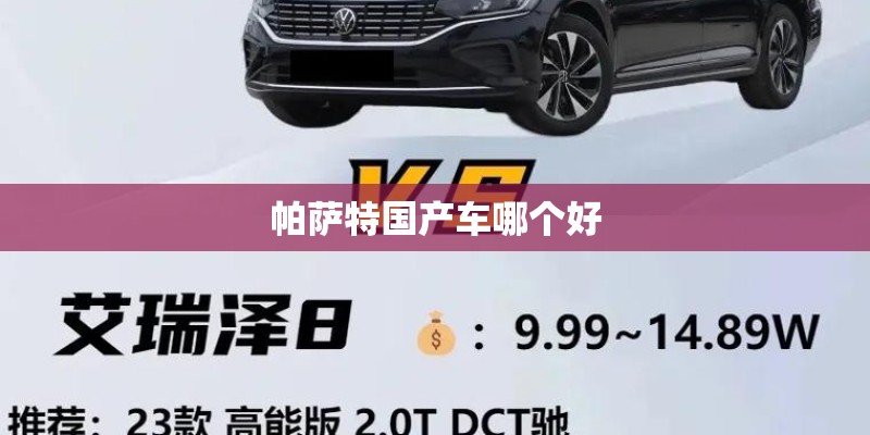 帕萨特国产车哪个好