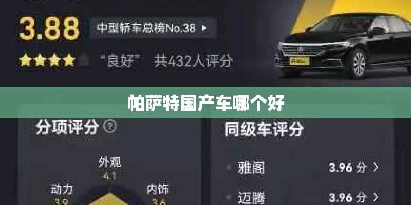 帕萨特国产车哪个好