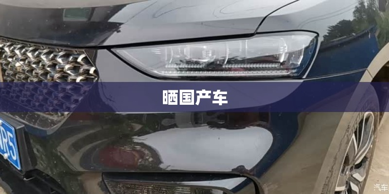 晒国产车
