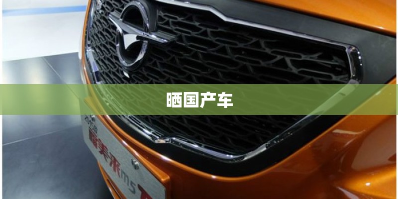 晒国产车