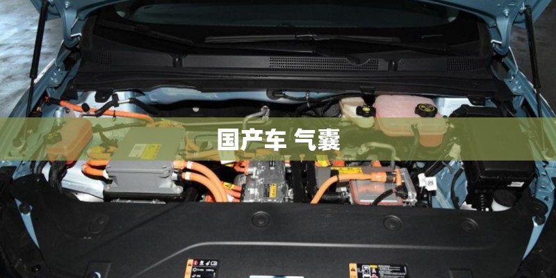 国产车 气囊