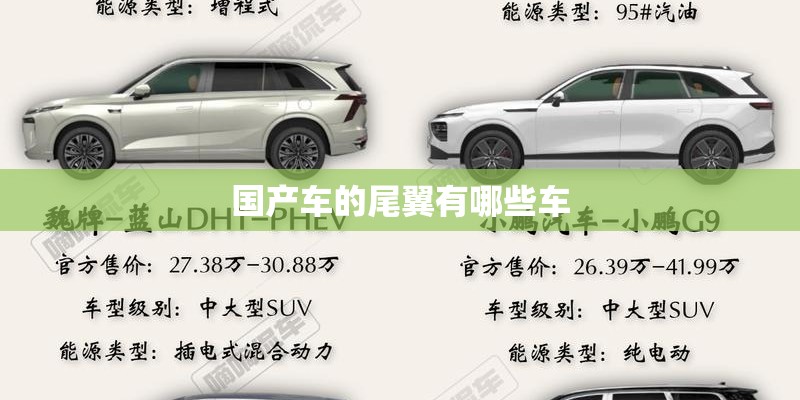 国产车的尾翼有哪些车