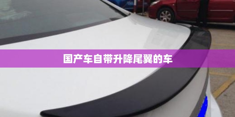 国产车自带升降尾翼的车