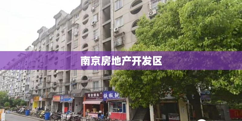 南京房地产开发区