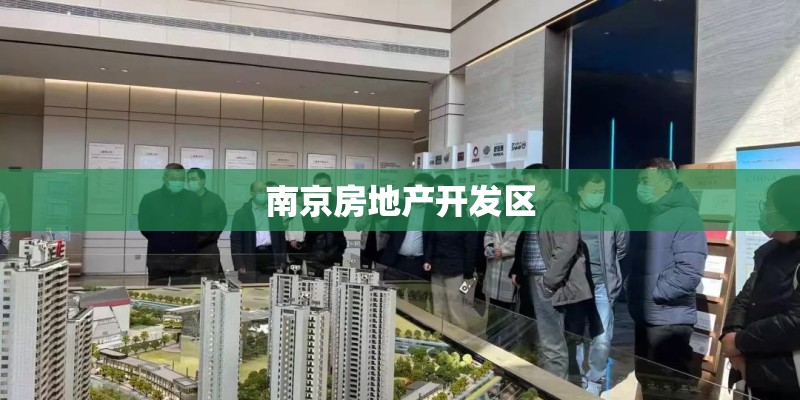 南京房地产开发区