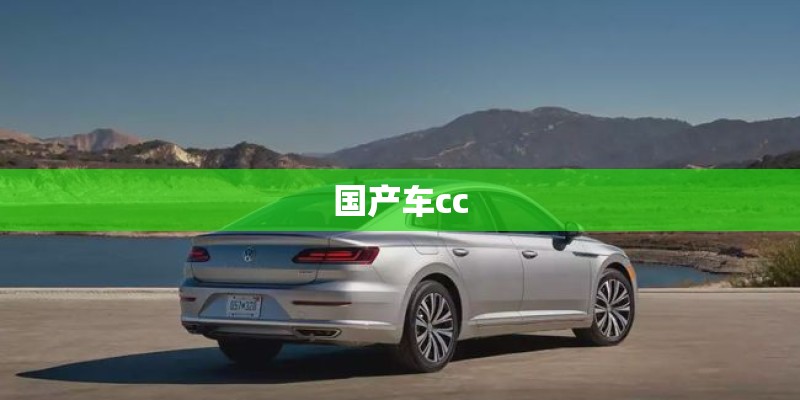 国产车cc