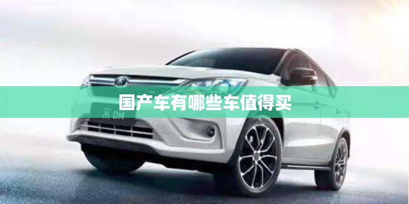 国产车有哪些车值得买