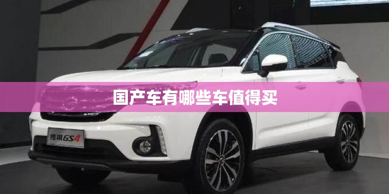 国产车有哪些车值得买