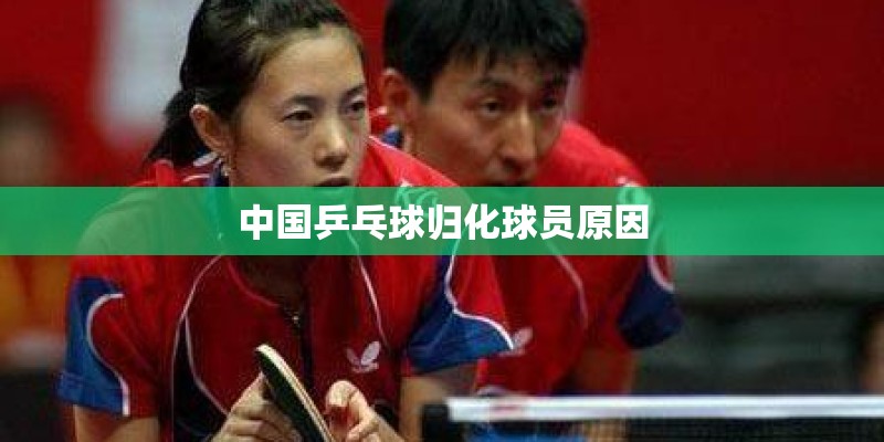中国乒乓球归化球员原因
