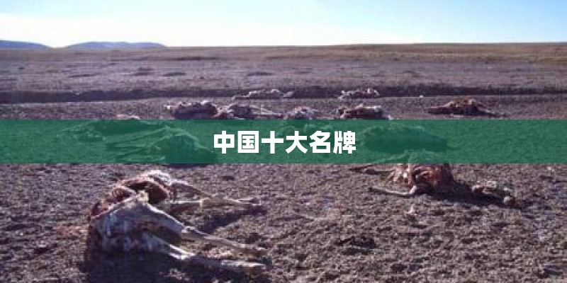 中国十大名牌
