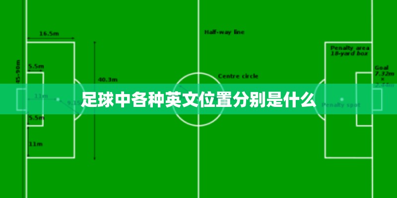 足球中各种英文位置分别是什么