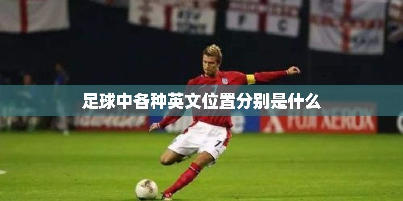 足球中各种英文位置分别是什么