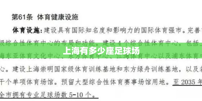 上海有多少座足球场