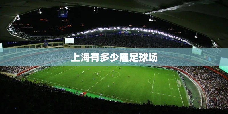 上海有多少座足球场