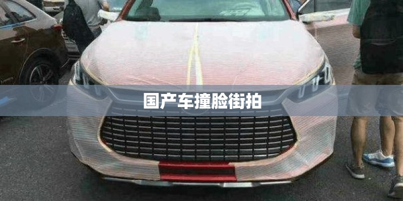 国产车撞脸街拍
