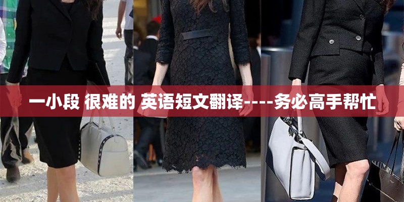 一小段 很难的 英语短文翻译----务必高手帮忙