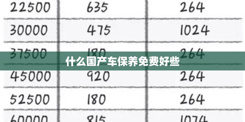 什么国产车保养免费好些