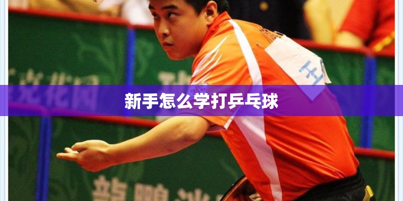 新手怎么学打乒乓球