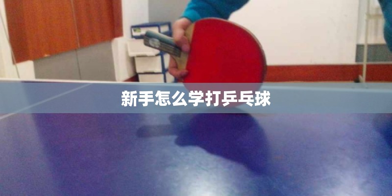 新手怎么学打乒乓球