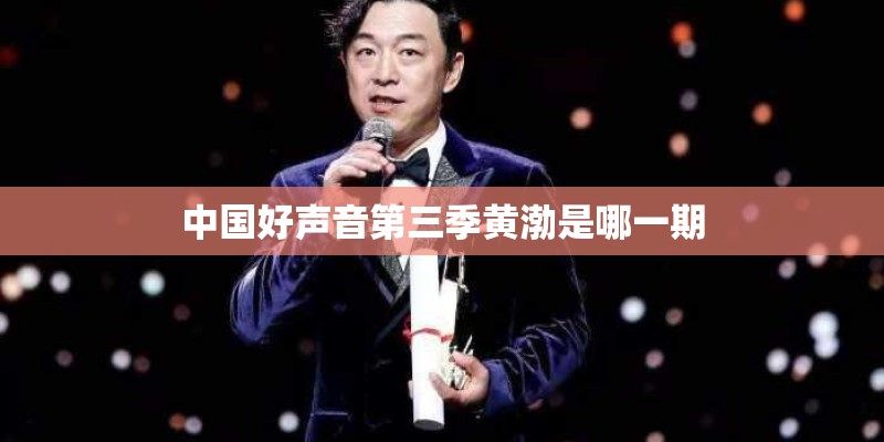 中国好声音第三季黄渤是哪一期