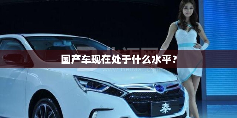 国产车现在处于什么水平？