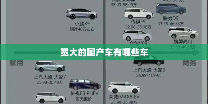 宽大的国产车有哪些车