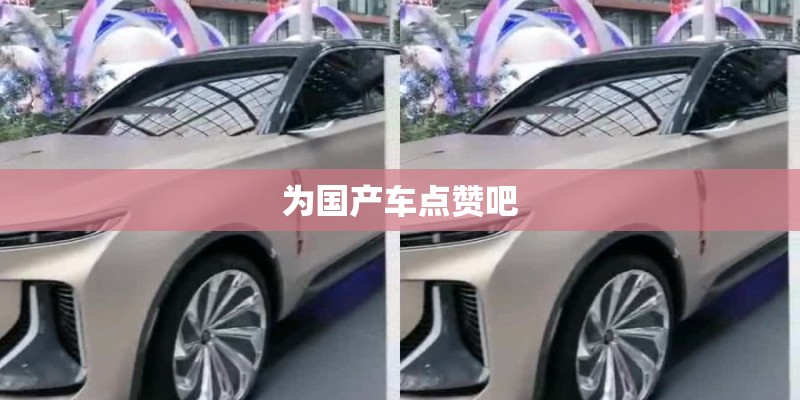 为国产车点赞吧