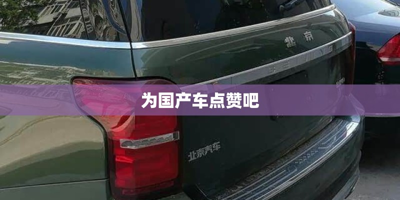 为国产车点赞吧 为国产车点赞吧