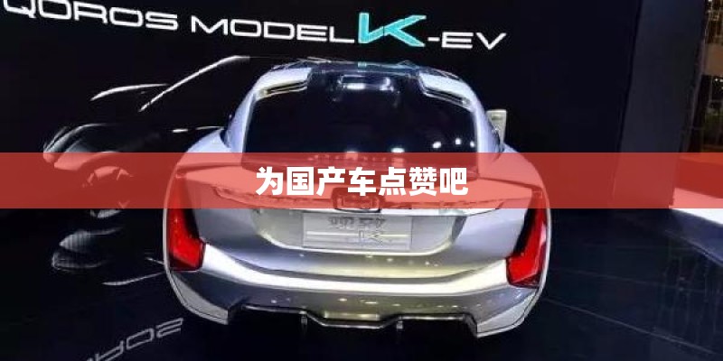 为国产车点赞吧 为国产车点赞吧