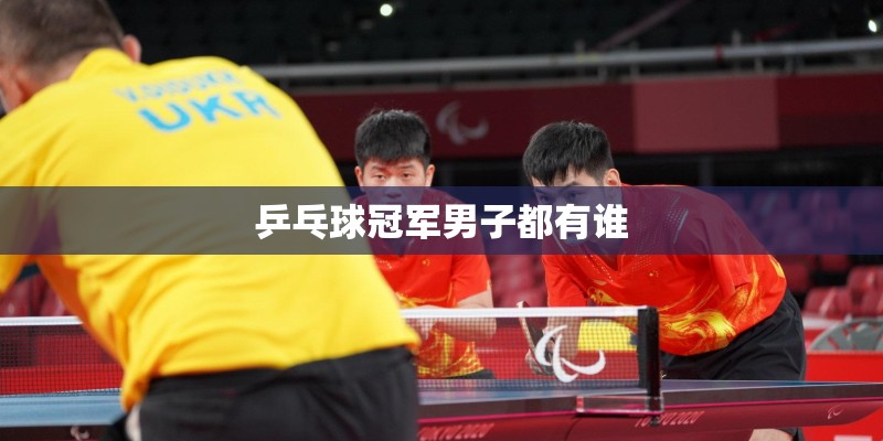 乒乓球冠军男子都有谁