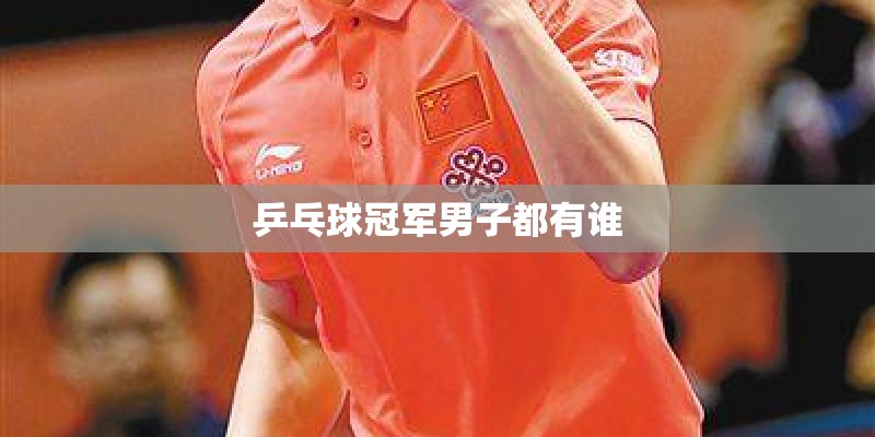 乒乓球冠军男子都有谁