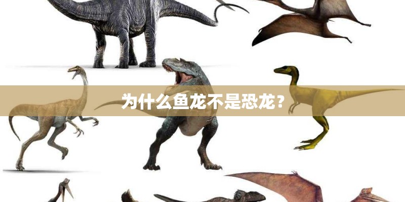为什么鱼龙不是恐龙? 为什么鱼龙不是恐龙?