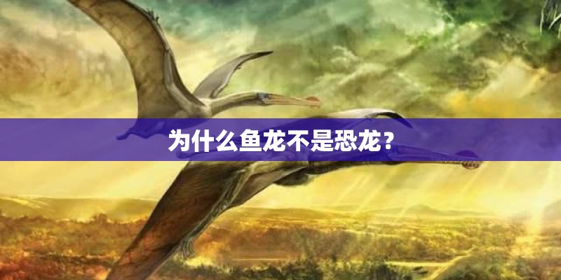 为什么鱼龙不是恐龙? 为什么鱼龙不是恐龙?