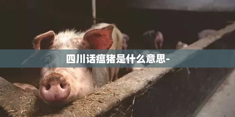 四川话瘟猪是什么意思- 四川话瘟猪是什么意思-