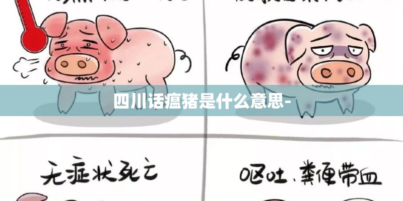 四川话瘟猪是什么意思- 四川话瘟猪是什么意思-