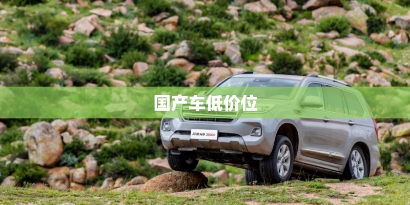 国产车低价位