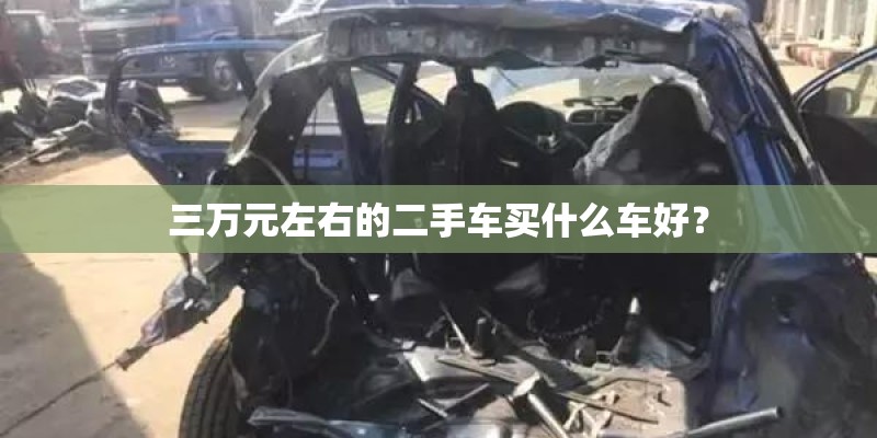 比较好养活的室内盆栽有哪些