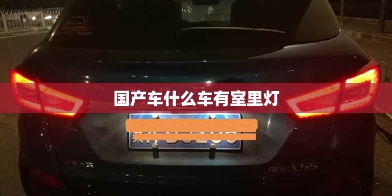 国产车什么车有室里灯